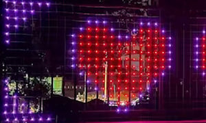 pt-d46e3417e4d9-w300.jpg